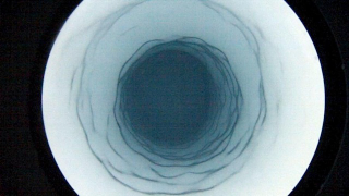 Illustration for article titled Life has been discovered beneath the Antarctic ice